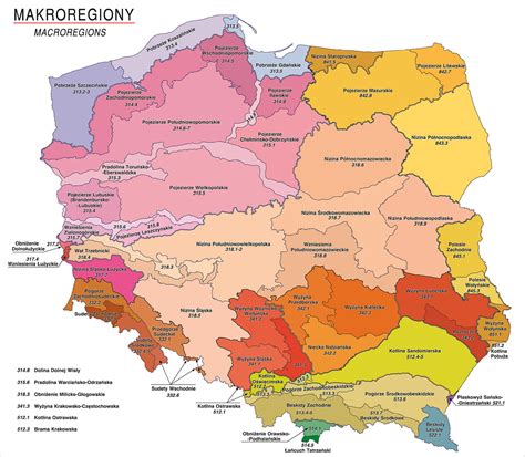 podział polski na regiony